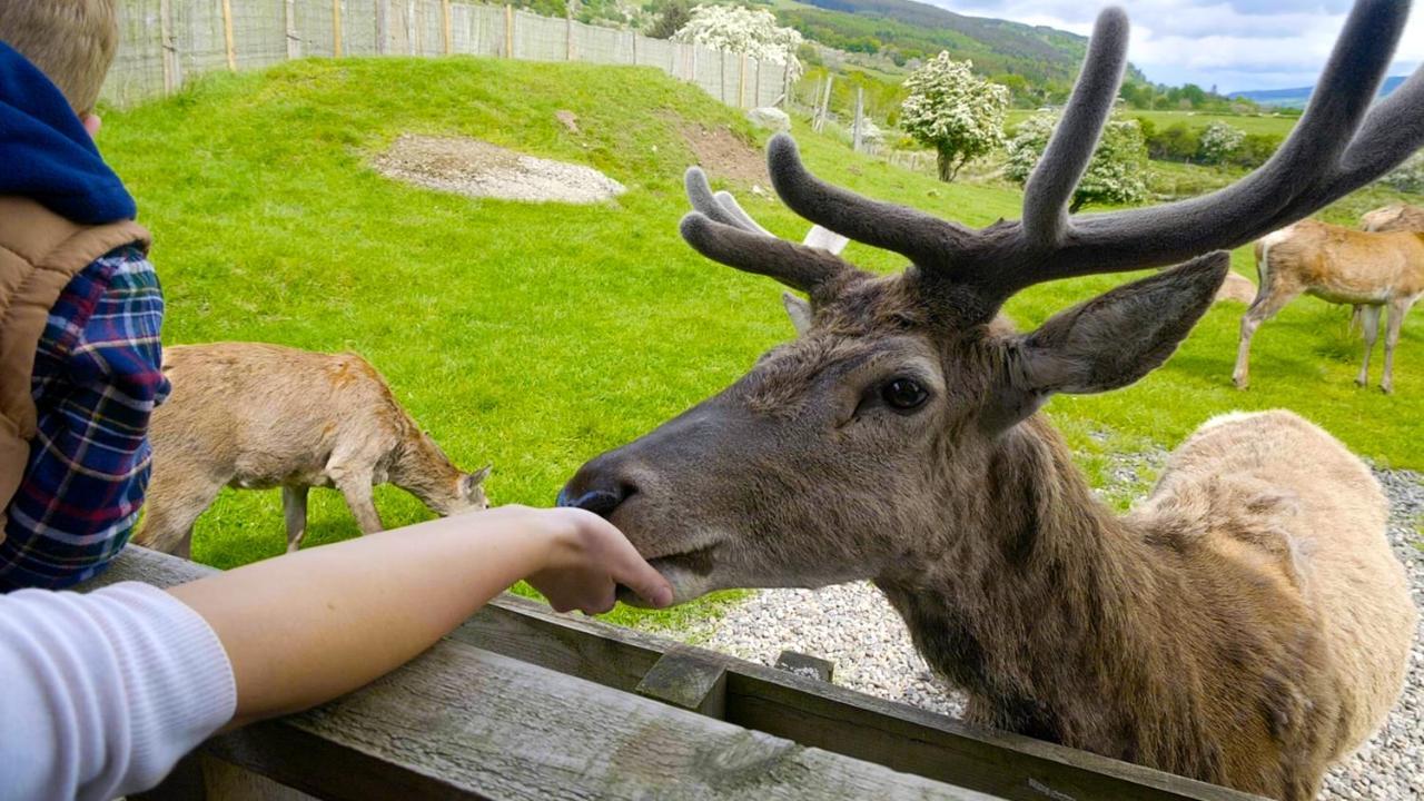 モネス リゾート アバーフェルディ エクステリア 写真